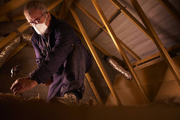 Best Commercial Insulation in Tuskegee, AL